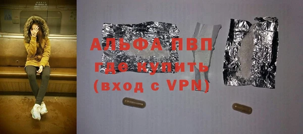 стаф Арсеньев