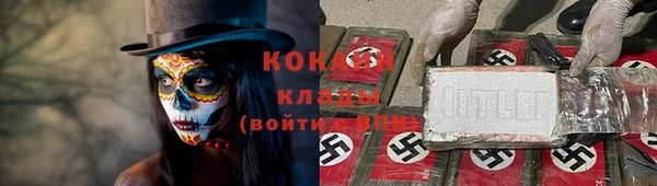 стаф Арсеньев