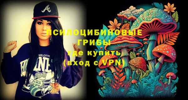 стаф Арсеньев