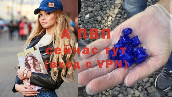 стаф Арсеньев