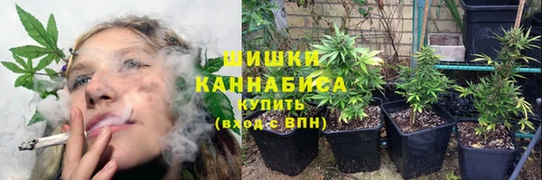 дживик Аркадак