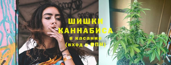 стаф Арсеньев